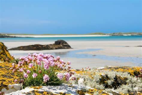 Wild Atlantic Stay Guest House Self-Catering Inverin Exterior photo